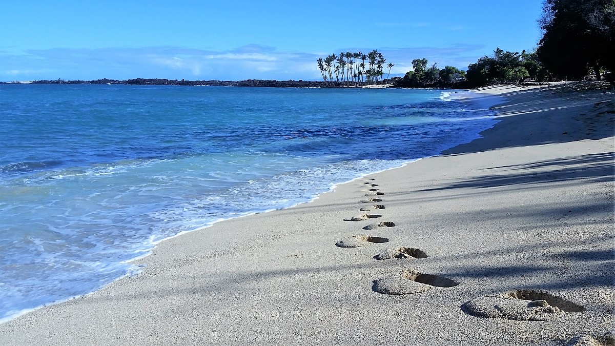 Fresh tracks on Mahai'ula Beach, Big Island Hawaii