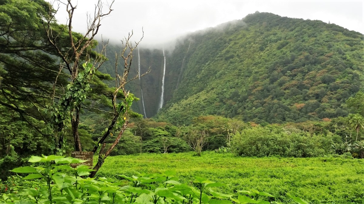 Hi'ilawe Falls in Waipi'o Valley