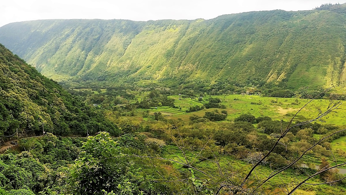 Homes in Waipi'o Valley