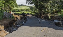 Hurricane Nolo cleanup continues