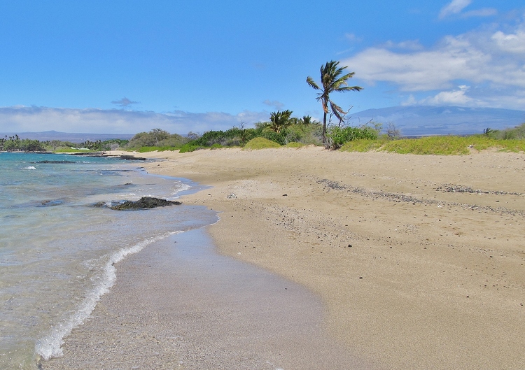 Kapalaoa Beach Ala Kahakai Trail