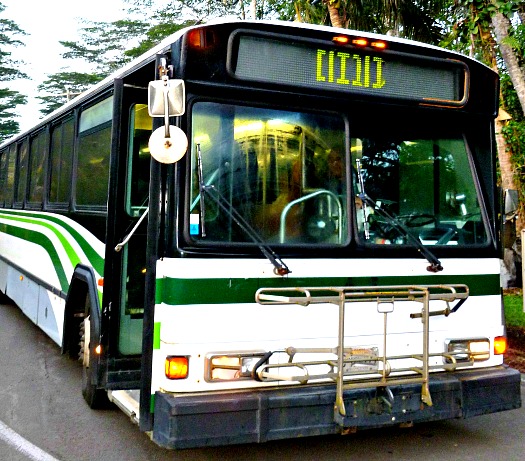 hawaii big island bus tours