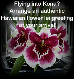 Arrive in style by arranging for a beautiful flower lei greeting