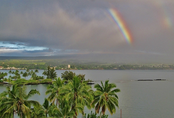 Hilo Weather - Everything You Need To Know