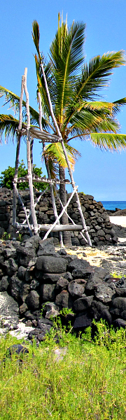 Student travel to Kaloko Honokohau National Historical Park