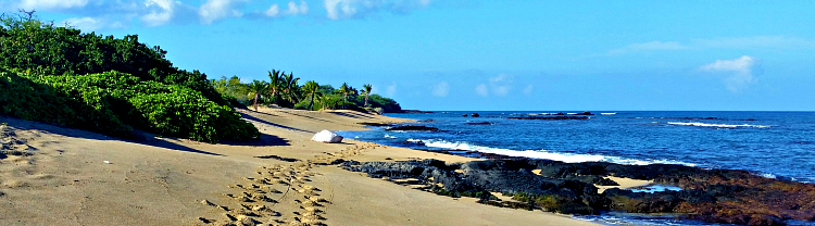 Kapalaoa Beach along the Ala Kahakai Trail