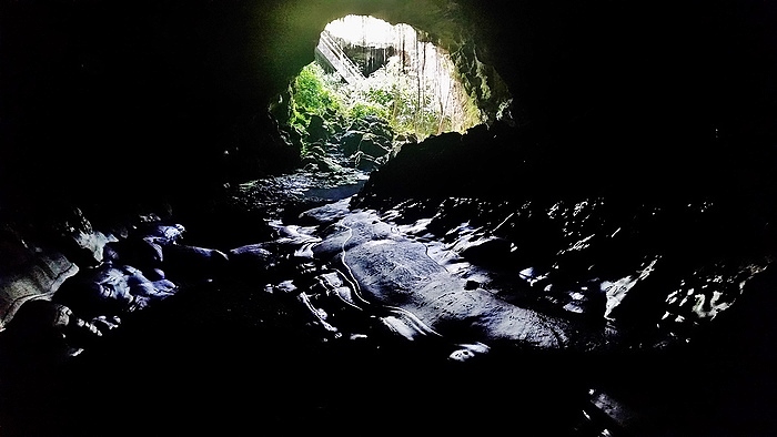 Kaumana Caves lava tube