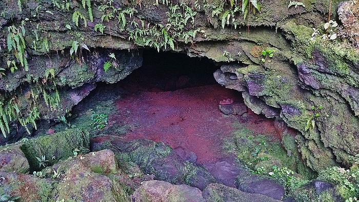 Lava tube at Kaumana Caves