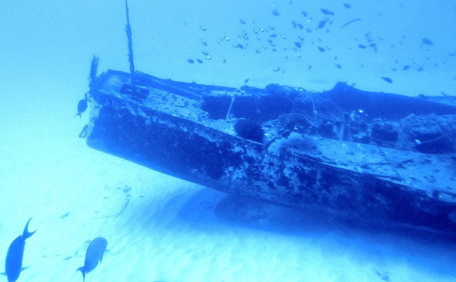 See this shipwreck and much more from Atlantis Submarine. Book your tour today!