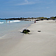 Manini'owali Beach at Kua Bay