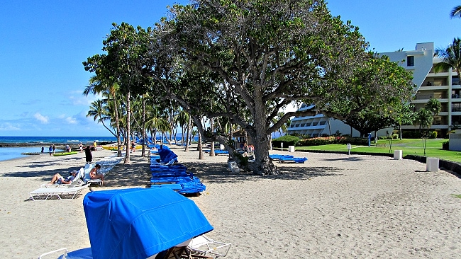 Mauna Lani Bay Hotel beach