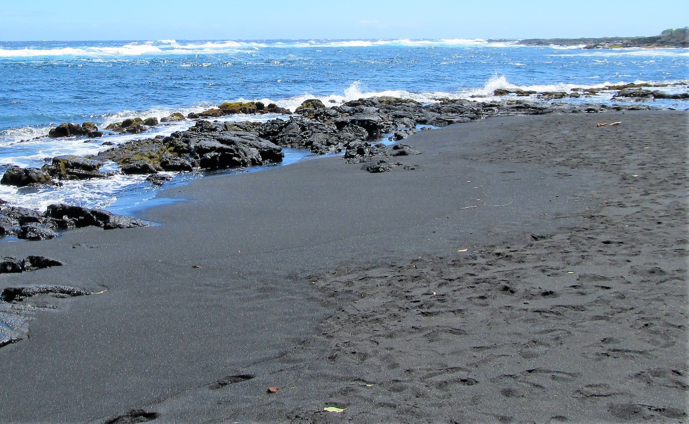 Punalu'u Black Sand Beach