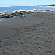 Punalu'u Black Sand Beach