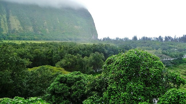 Waipi'o Valley