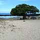 Family friendly Wawaloli Beach