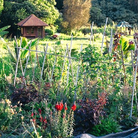 Hawai'i Farm Tour