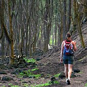 Hiking in Hawaii