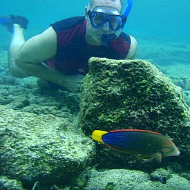 Snorkeling Big Island at Kahalu'u Beach Park