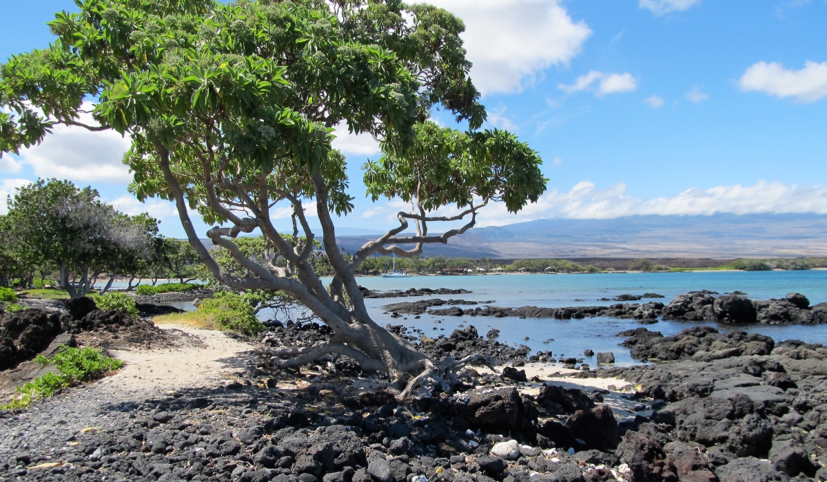 Ala Kahakai Trail by the Sea