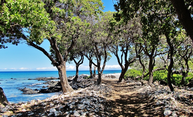 Ala-Kahakai National Historic Trail