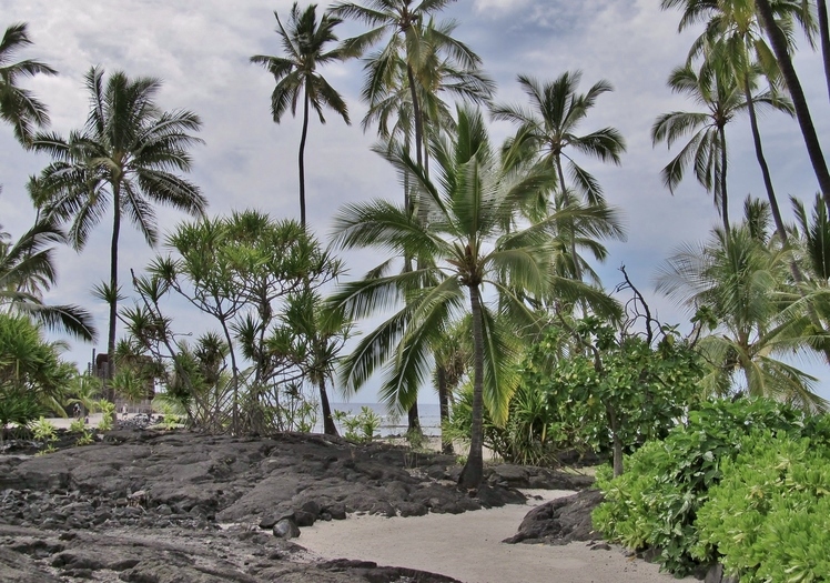 Pu'uhonua o Honaunau City of Refuge