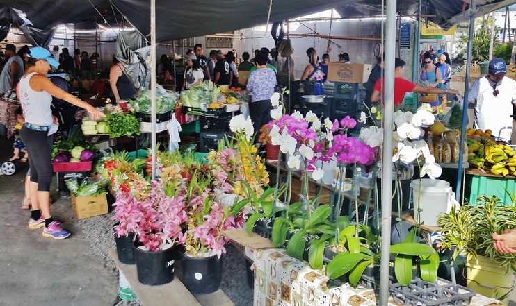 Farmers Market in Hilo, Hawaii