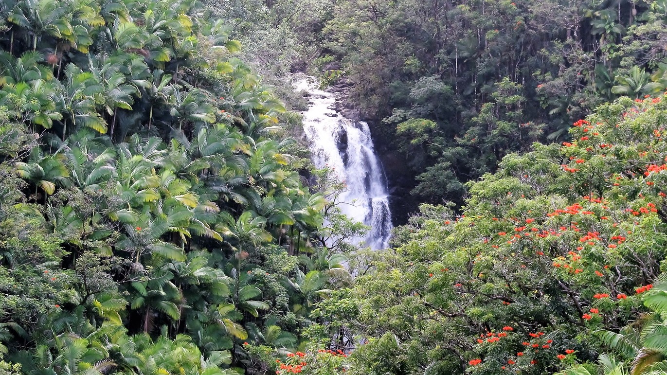 Hamakua Coast waterfalls