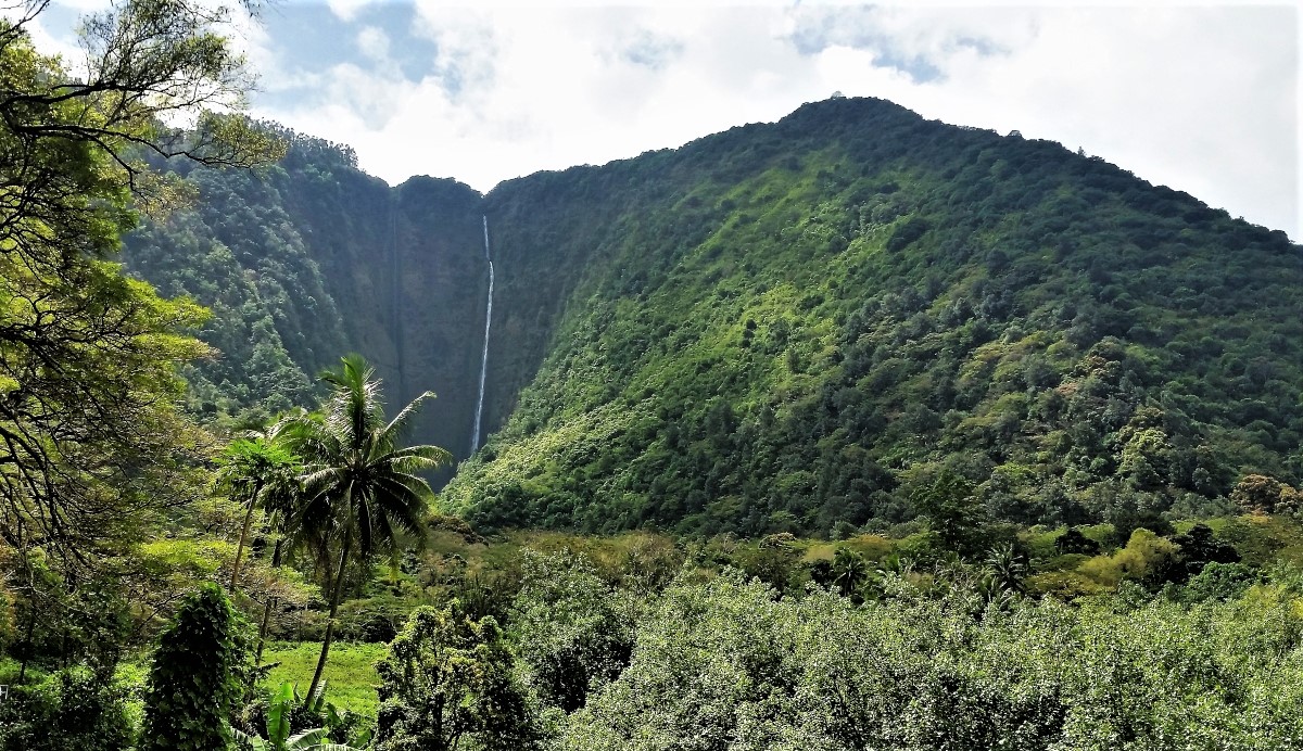 Hi'ilawe Falls in Waipi'o Valley