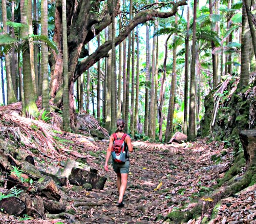 You will love hiking the Big Island!