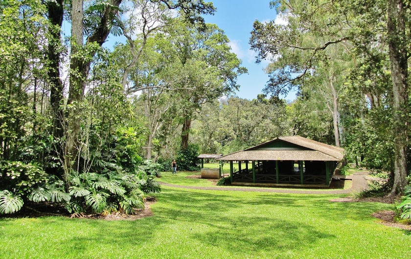 Kalopa State Recreation Area