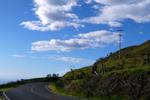 Kohala Mountain Road, Kohala Volcano