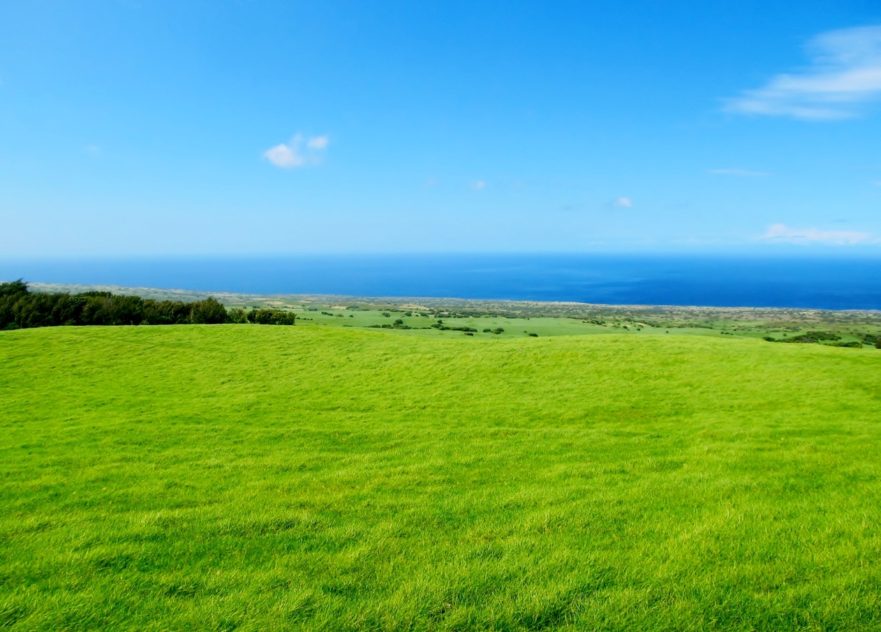 Beautiful views across grassy slopes along Kohala Mountain Road.