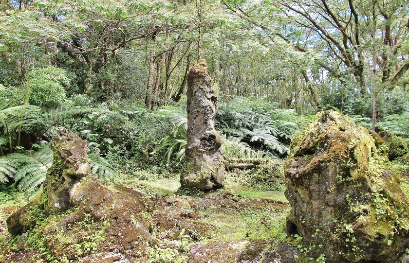 Lava Tree State Monument