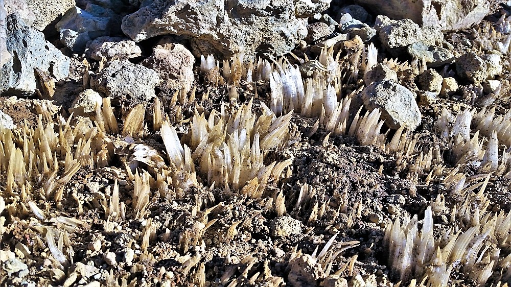 Needle ice found while hiking on Mauna Kea