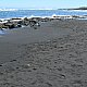 Punalu'u Black Sand Beach