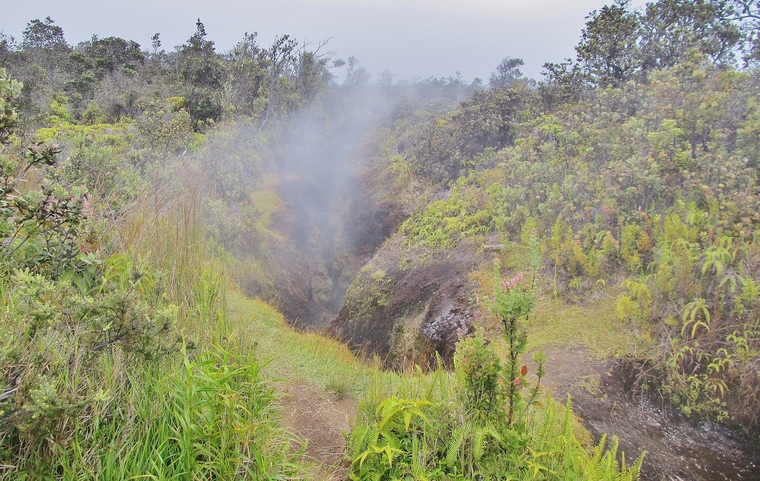 Steam vents, Hawaii Volcanoes National Park