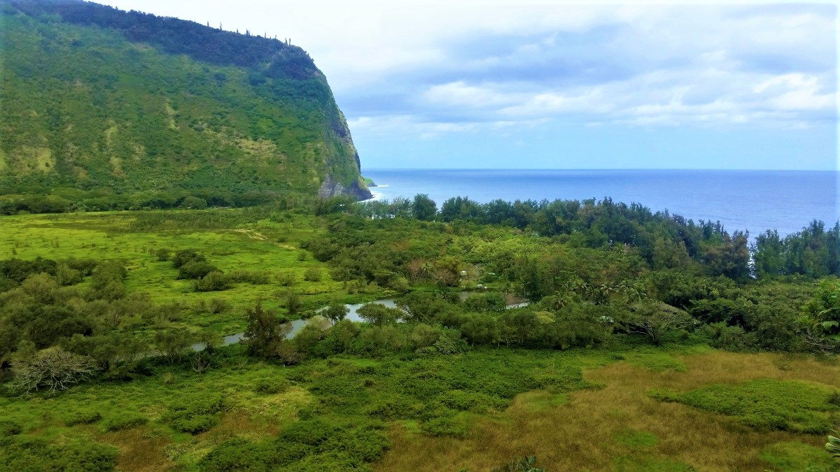 Waipi'o Valley