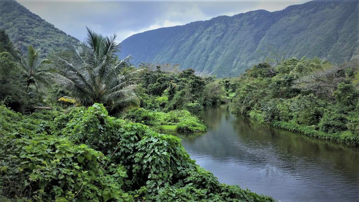 Waipi'o Valley stream