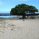 Family friendly Wawaloli Beach